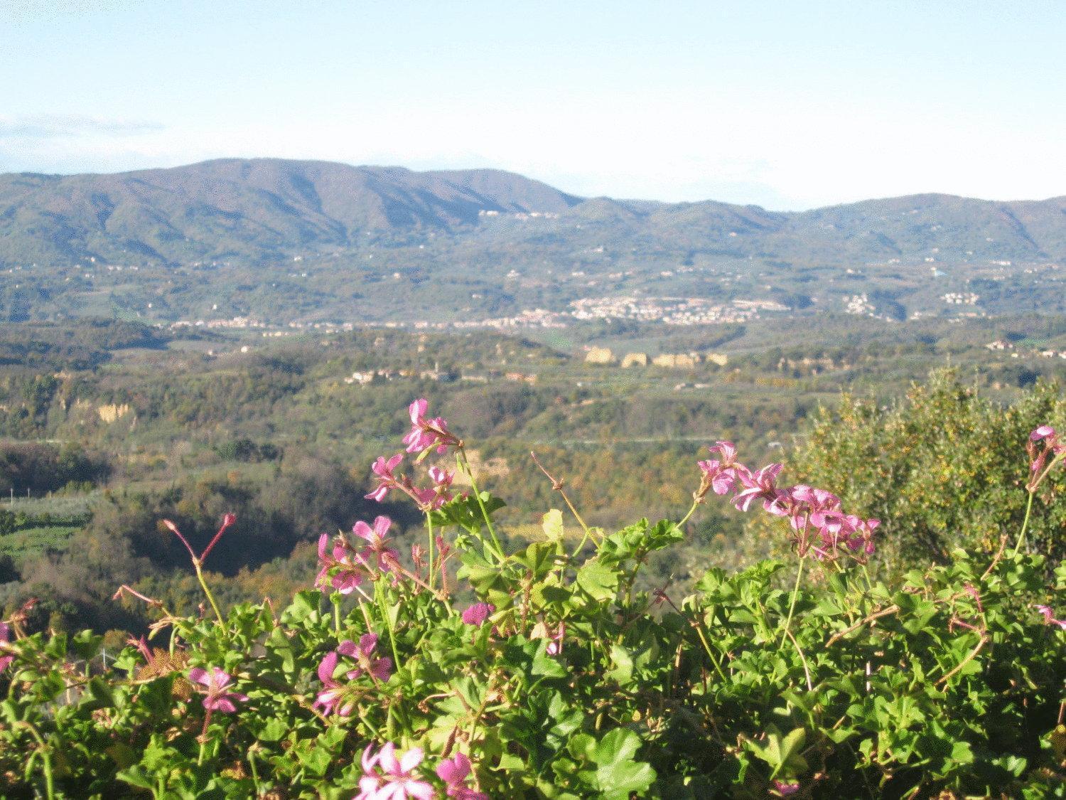 Agriturismo La Capitata Pian di Scò Exteriör bild