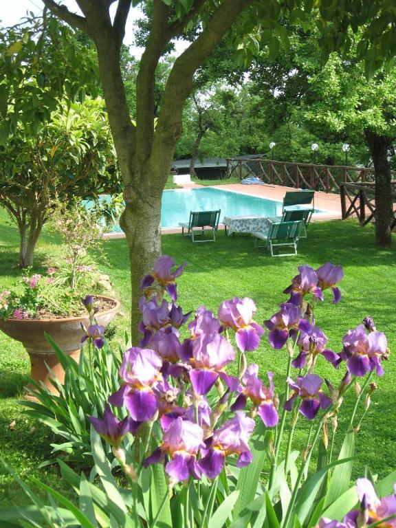 Agriturismo La Capitata Pian di Scò Exteriör bild
